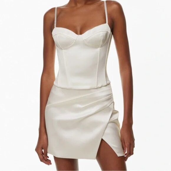 Aritzia Ten Silo Skirt Size 10 - Picture 2 of 3